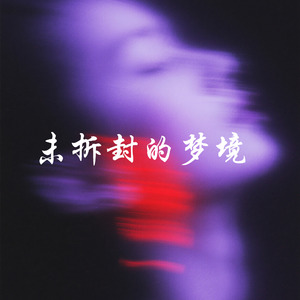 未拆封的梦境