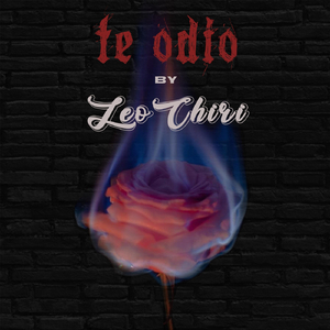 Te Odio