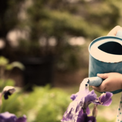 寂寞频道 (打游戏时听的战曲)