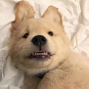 致00后的预防针