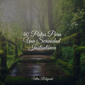 Las Olas Van Y Vienen