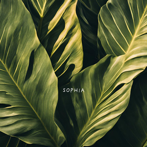 Sophia