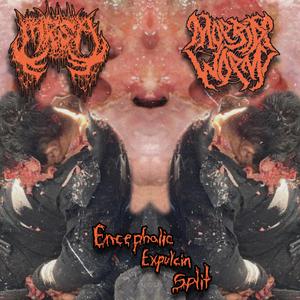Foul Odor Emanating from the Vaginal Region