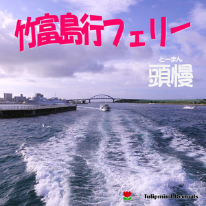 竹富島行フェリー