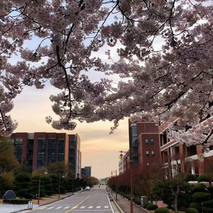 봄과 여름에 관한 스토리