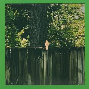 the Pond Interlude (Josh)