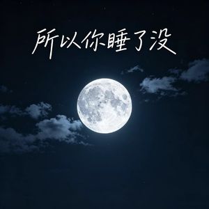 所以你睡了没