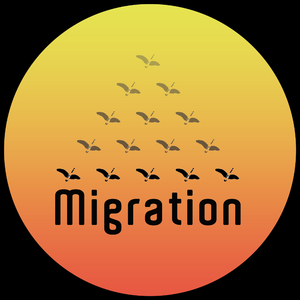 Avoiding the Issue (Truth Remix)