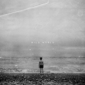 Wild World