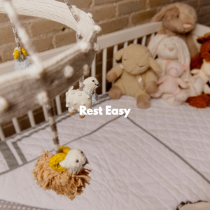 Sort (Morning Storytime)