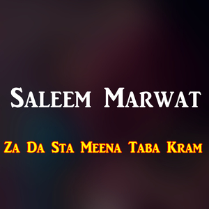 Za Da Sta Meena Taba Kram