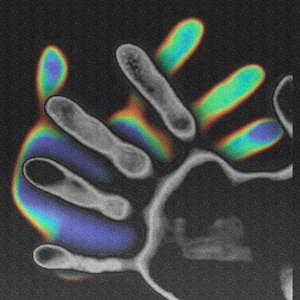 Schema Boy (Bonus Track)