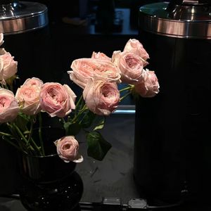 初次遇见的心动