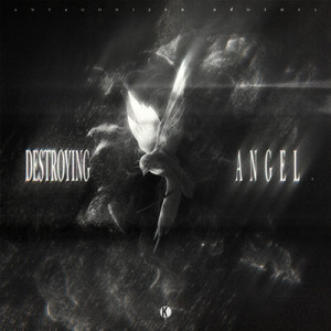 DESTROYING ANGEL