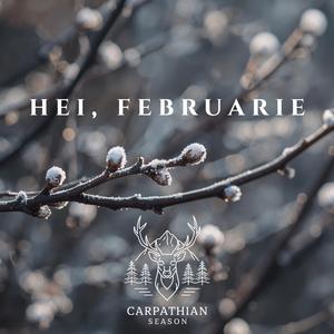 Hei Februarie, Dragă Făurar