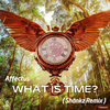Shankz - Affectus - What is time ( Remix )