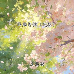 西厢寻他 (DJ版)