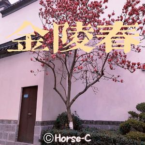 金陵春