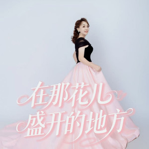 在那花儿盛开的地方 (伴奏)