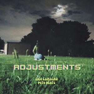 ADJUSTMENTS (UNIVERSE)