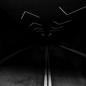 Dusky Trap