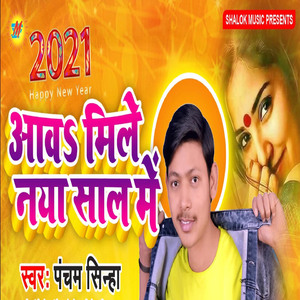 Aawa Na Mile Naya Saal Me