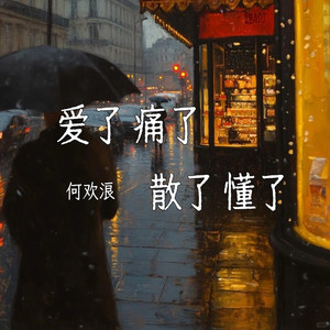 爱了痛了散了懂了