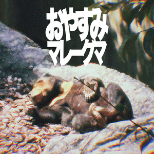 おやすみマレーグマ