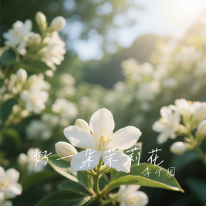 好一朵茉莉花