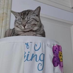 送妈妈一首歌吧