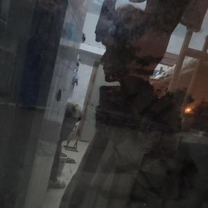 雨后人去楼也空（翻自 蒋蒋）