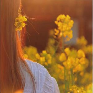 真心很贵别逢人就给