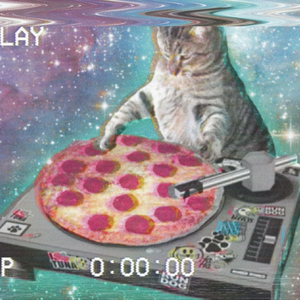 "丧猫"- Chill Lo-fi Hip-Hop type music