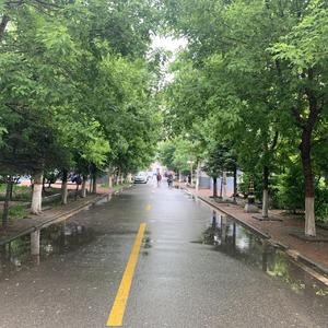 三十岁的女人（翻唱 赵雷）