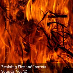 Peace with Fire Audio