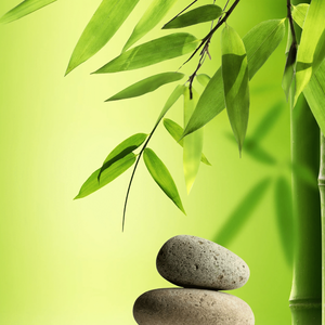 《校园旧梦》