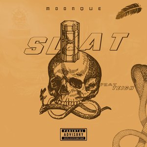 Slat