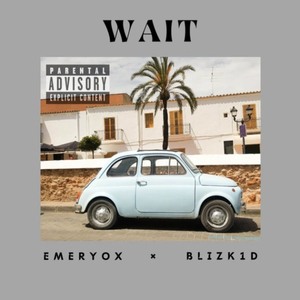 WAIT (feat. Blizk1d)