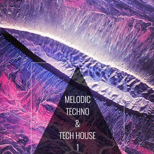 Speedbird (Extended Mix)