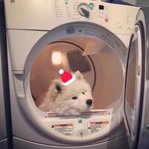 Xmas Luv Song(Pord.Furyl)