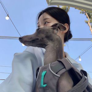 下个路口见(DJ弹鼓版)