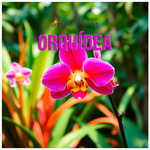 Orquídea