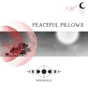 Peaceful Pillows (Night)