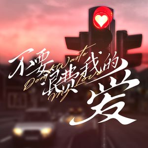 不要浪费我的爱<Remix>