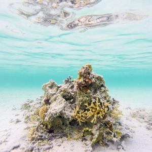 Loved and Lost (Oceans)