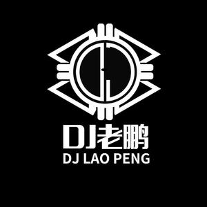 郭峰-甘心情愿（DJ老鹏 remix）