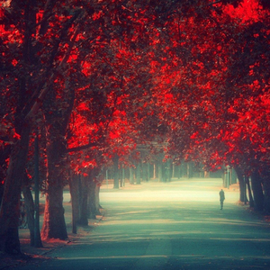 What you need (feat. Scizzie & Aro)