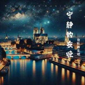 微弱的月光Faint moonlight-入眠曲