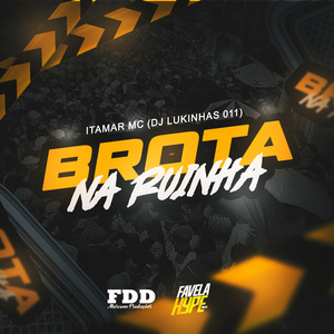 Brota Na Ruinha