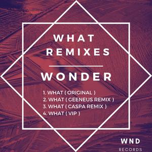 What (Geeneus Remix)